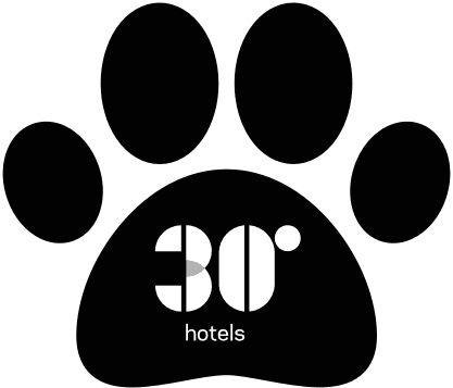 Pet pata logo Pet pata logo